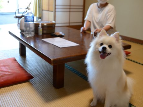 日奈久温泉　不知火ホテル